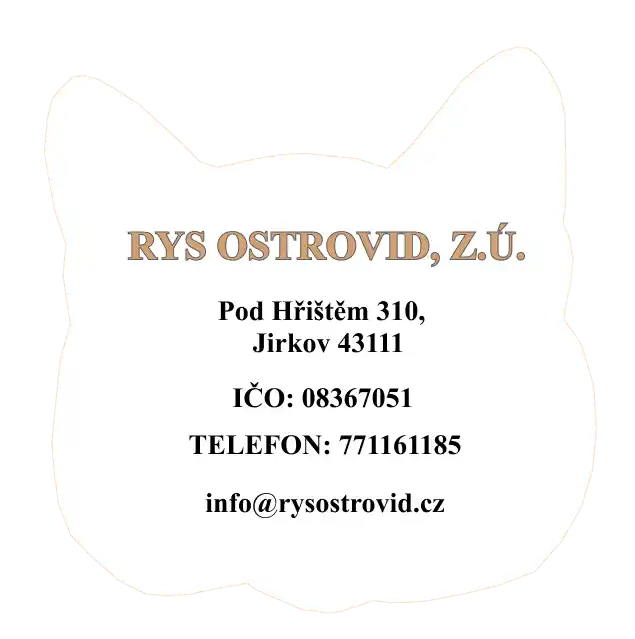Informace